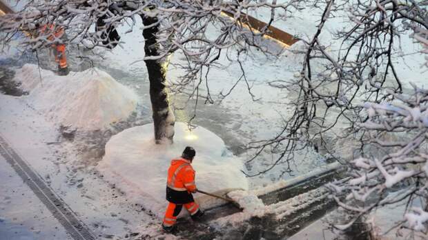 Синоптик Тишковец: на следующей неделе в Москве похолодает до -20 °С