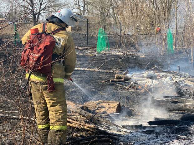 Пожарные потушили огонь, который дошел до вольера тверского медведя Мансура