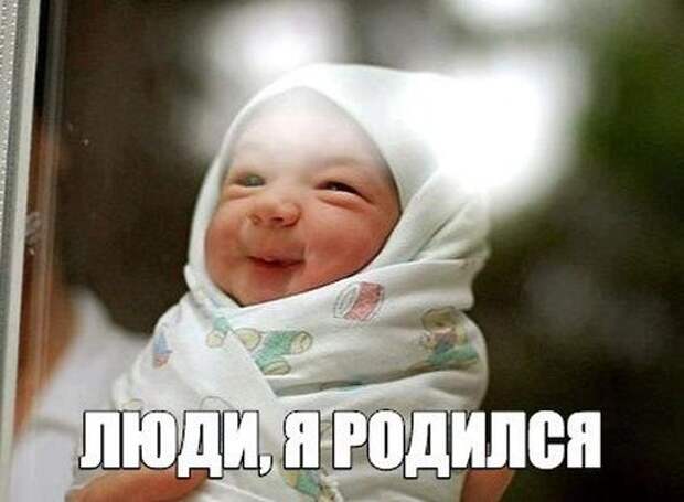 Картинки по запросу веселые картинки и фото приколы
