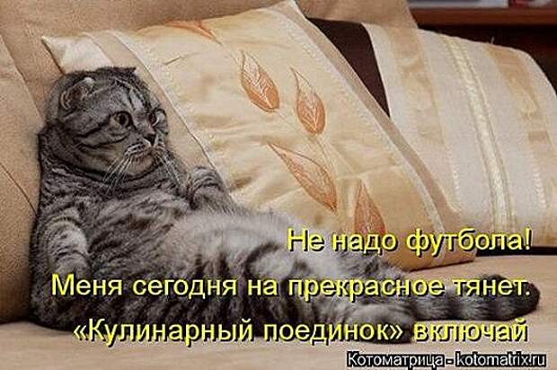 1419612344_kotomatricy-24