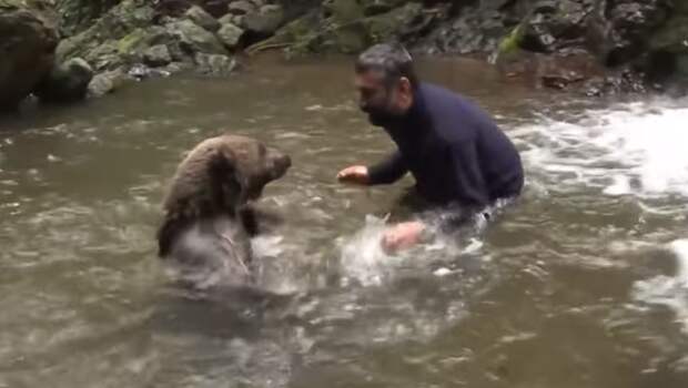Медведица не могла спасти медвежат из холодной воды, но рядом оказались рыбаки