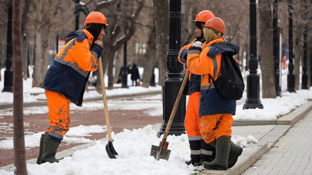 В ТПП России заявили об отсутствии мигрантов из Индии среди московских дворников