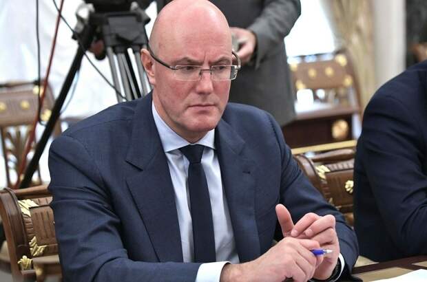 Чернышенко: алименты начнут взыскивать онлайн к 2023 году