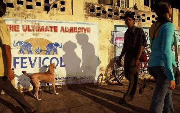 И снова подборка фотографий, сделанных в нужный момент perfectlytimed05 И снова подборка фотографий, сделанных в нужный момент
