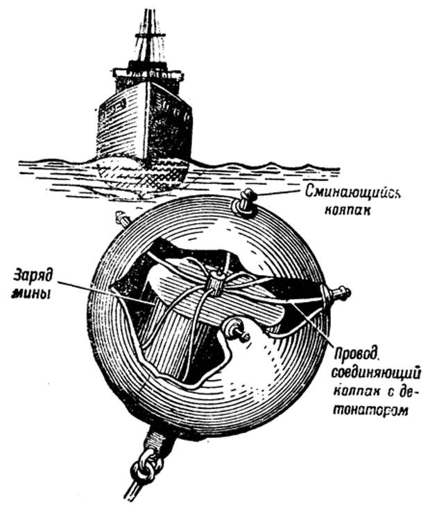 Для чего морским минам рога и опасно ли к ним прикасаться?