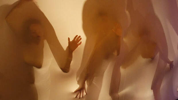 Милонов призвал возродить в вузах «особые отделы» с сотрудниками спецслужб