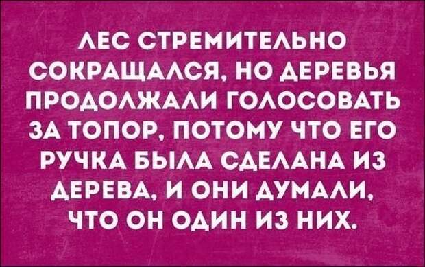 Просто и смешно — послание в открытке Просто и смешно — послание в открытке
