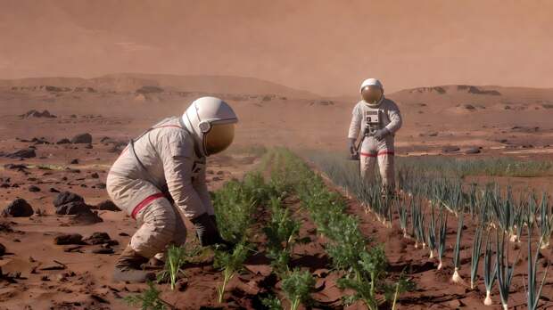 Отходы жизнедеятельности могут стать основой «космического плодородия»