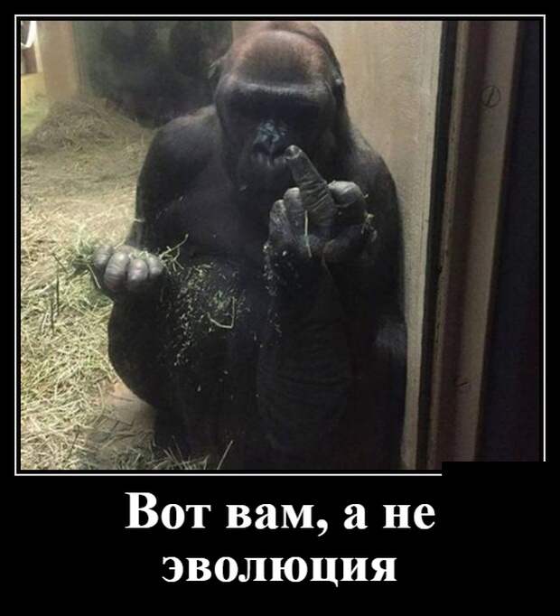 Демотиваторы (30 фото)