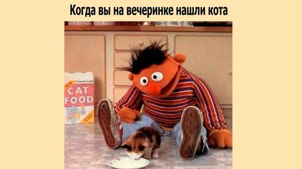 15 смешных мемов про животных — от кошек до лягушек и акул