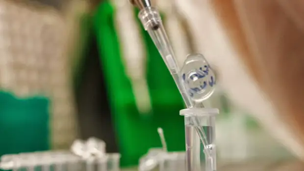 В ОЭЗ «Технополис «Москва» откроют производство медицинских тестов