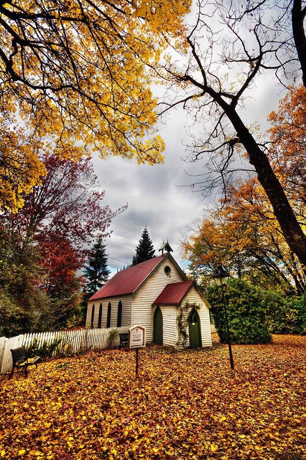 Фотография: Остров Южный — настоящий рай на Земле! №13 - BigPicture.ru