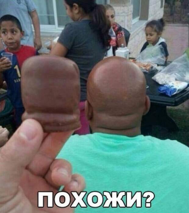 Подборка доброго юмора подборка, прикол, шутка, юмор