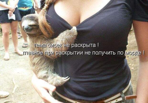 Забавные картинки с надписями для веселья (11 фото) Забавные картинки с надписями для веселья (11 фото)
