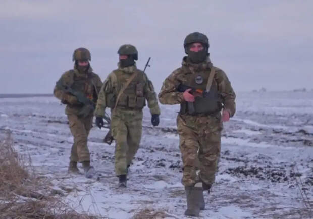 В ходе наступления ВС России освободили населённые пункты Терны и Нескучное ДНР - Минобороны