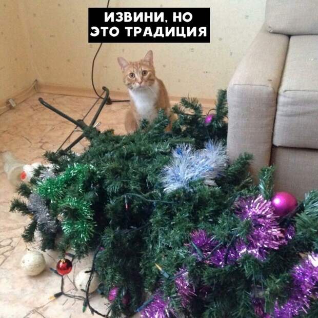 И не поспоришь И не поспоришь