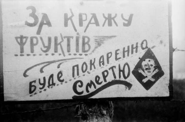 Украине, 1943 год история, события, фото