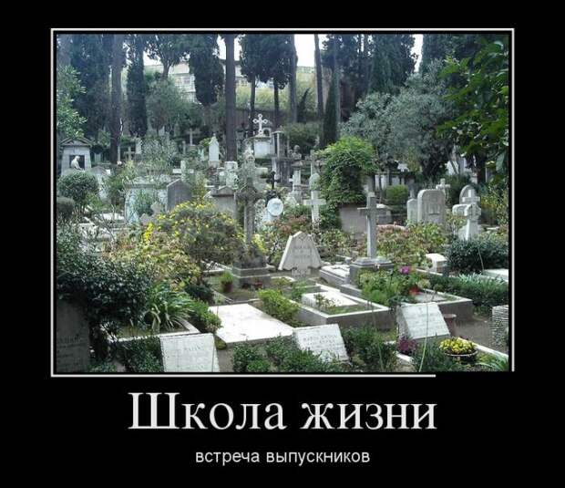Демотиваторы (30 фото)