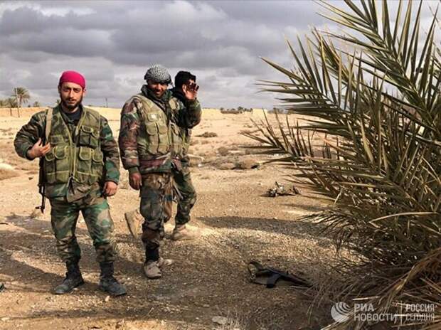 Военнослужащие Сирийской Арабской Республики возле историко-архитектурного комплекса Древней Пальмиры в сирийской провинции Хомс