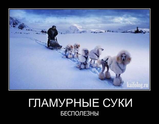 Философские демотиваторы года (55 штук)