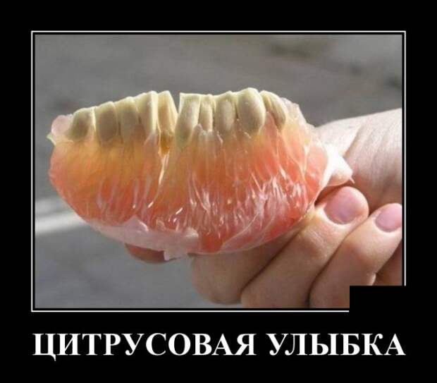Демотиваторы (30 фото)