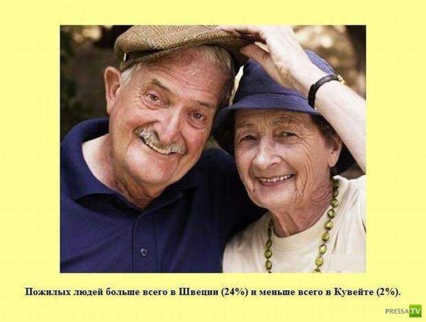 Интересные факты в картинках