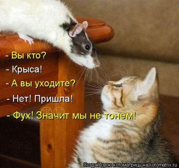 Мысли вслух :)