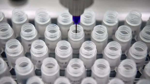 Число случаев коронавируса в Узбекистане превысило 4800