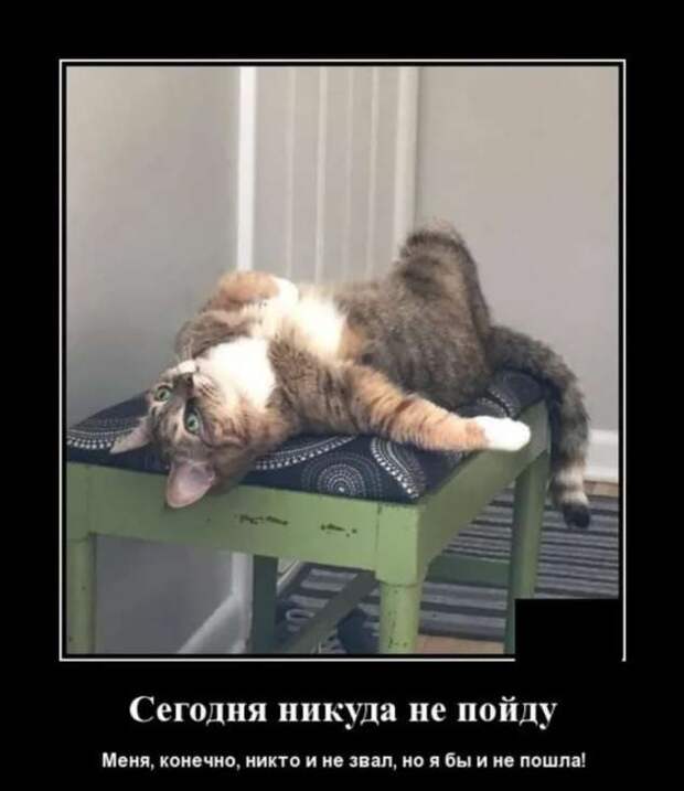 Прикольные демотиваторы с надписями. Подборка chert-poberi-dem-chert-poberi-dem-53180208062020-4 картинка chert-poberi-dem-53180208062020-4