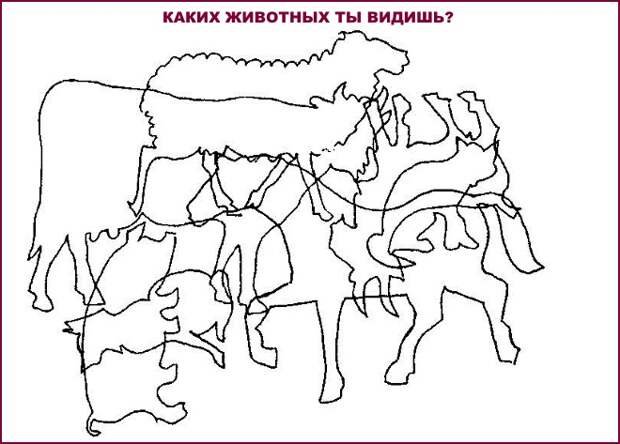 Каких животных ты видишь?
