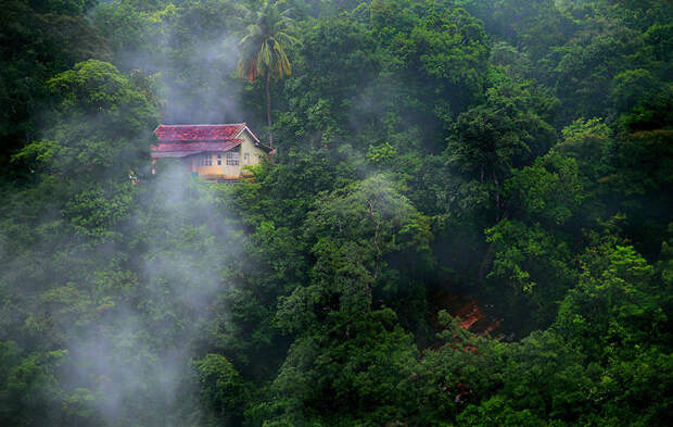 Cabin In The Woods