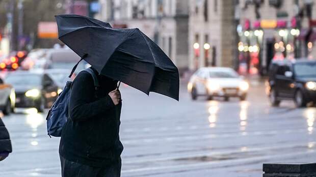 В МЧС предупредили о грозе, дожде и ветре в Москве в ближайшие дни