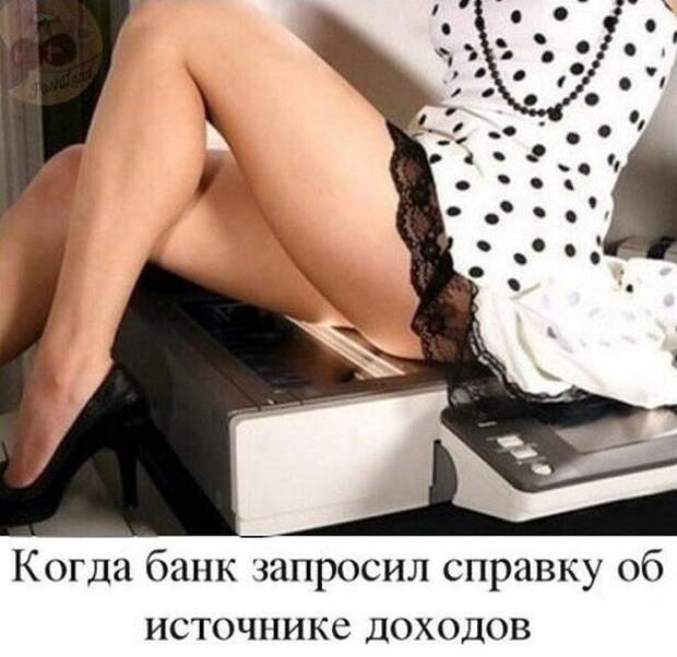 Фотоприколы для повышения настроения: "Пандемии назло" Фотоприколы для повышения настроения: "Пандемии назло"