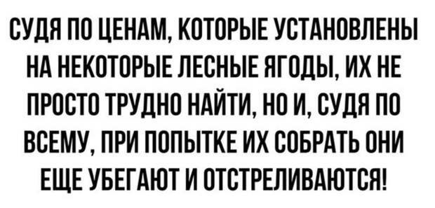 Фотоприколы для повышения настроения: "Пандемии назло" Фотоприколы для повышения настроения: "Пандемии назло"