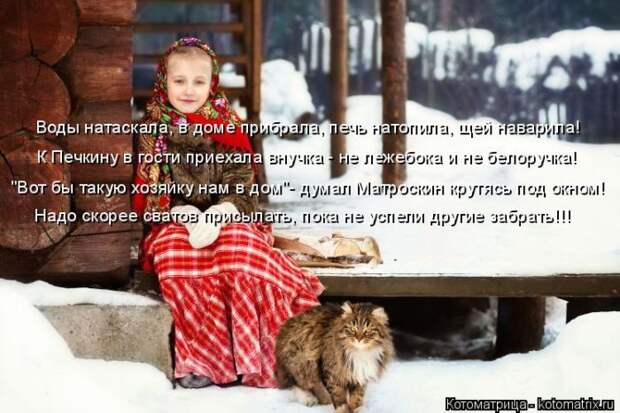 Лучшие котоматрицы недели (50 фото)