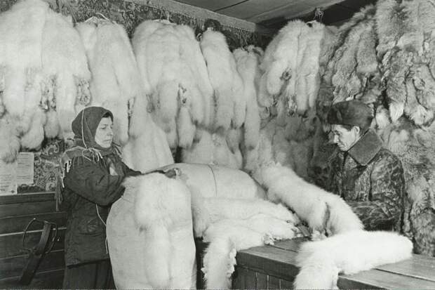 Без названия. Георгий Липскеров, 1949 год, Архангельская обл., Ненецкий национальный округ, г. Нарьян-Мар, МАММ/МДФ.