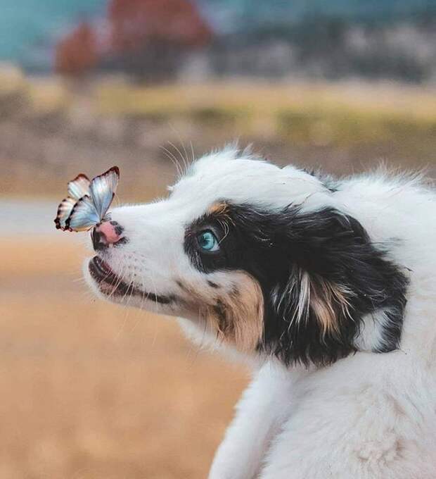 Немного тепла:) Немного тепла:)