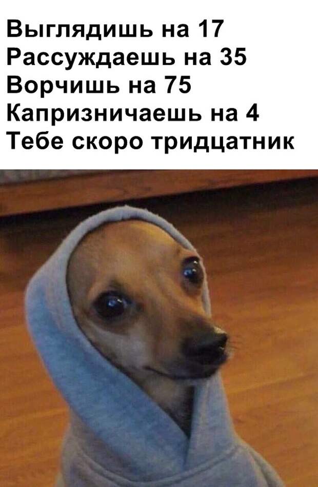 Мемы и картинки на понедельник