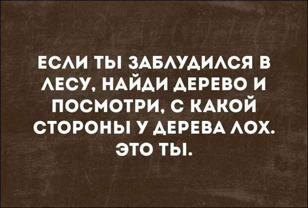 смешные аткрытки