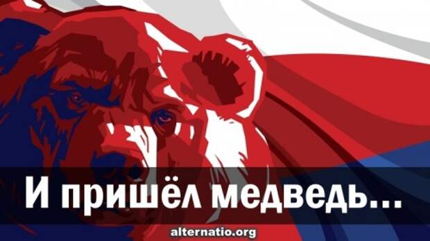 И пришёл медведь…