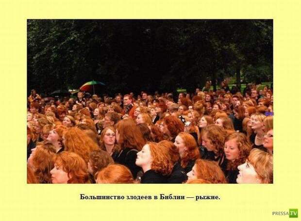 Интересные факты в картинках