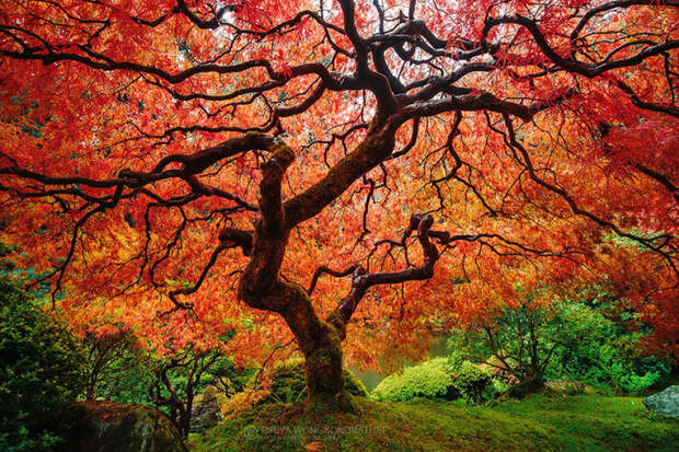 12 снимков, доказывающих, что осень украшает наш мир 