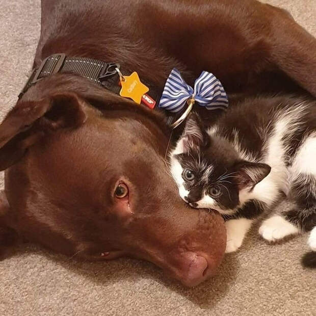 9sC4MOMIaqs (700x700, 421Kb)