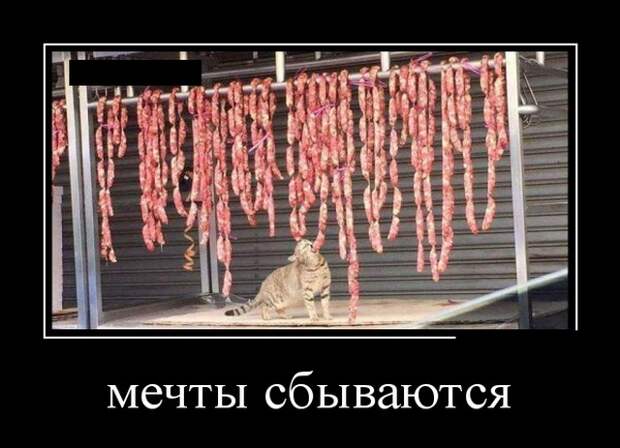 Демотиваторы (30 фото)
