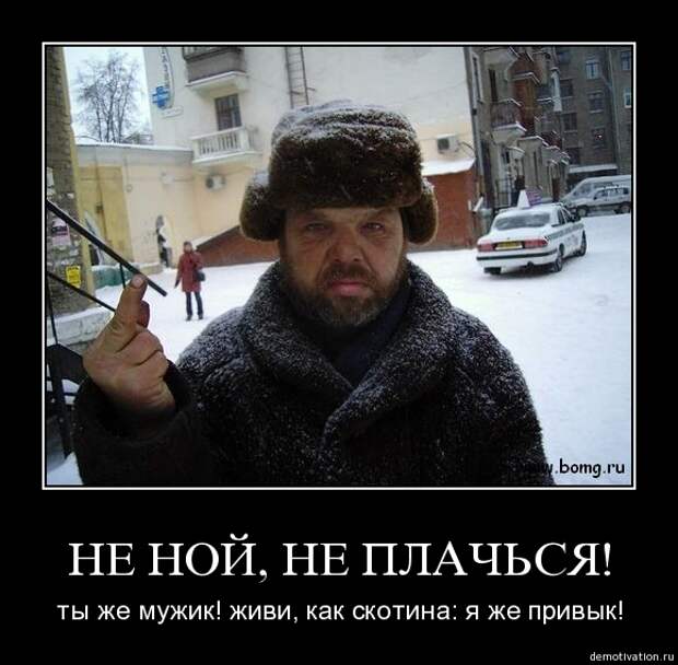 http://s2.uploads.ru/w6PcA.jpg