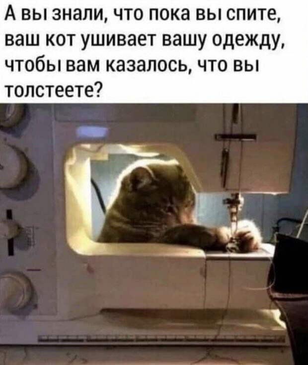 Лучшие шутки и мемы из Сети