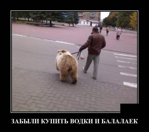 Демотиватор про медведя