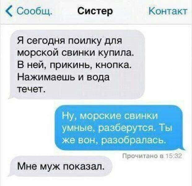 Прикольные комментарии и СМС-переписка из соцсетей (18 фото)