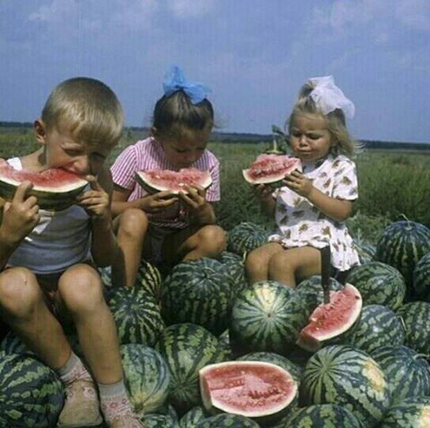 Как советские дети отдыхали летом?
