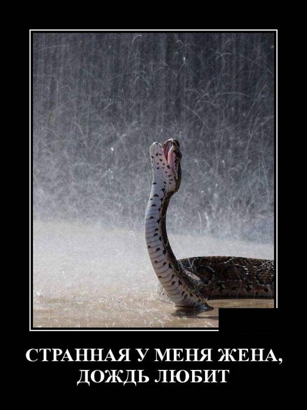 Демотиваторы (30 фото)